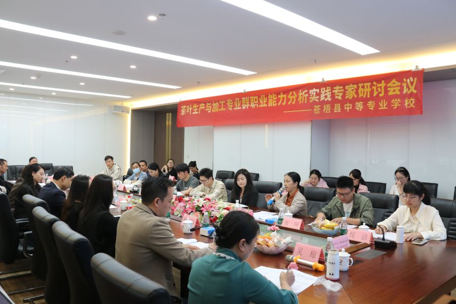 职业分析会全景.jpg