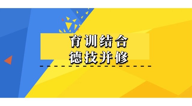 双高计划”引导育训结合、德技并修