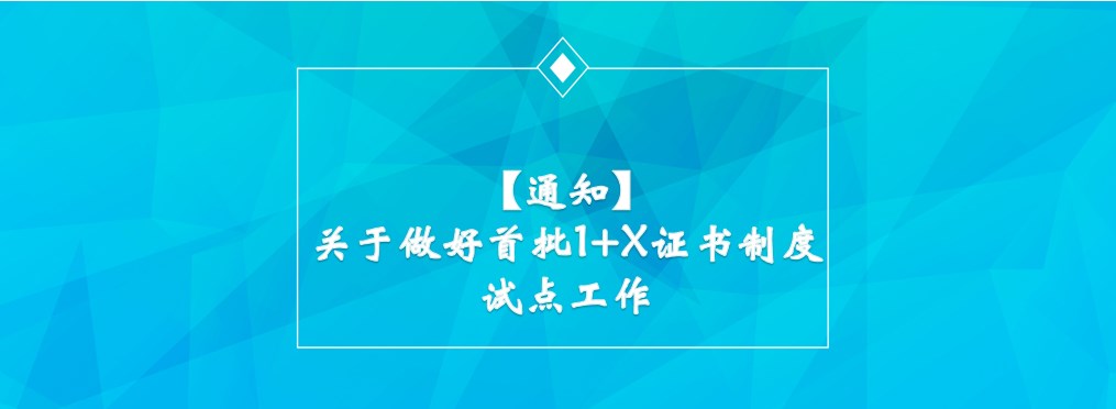 关于做好首批1+X证书制度试点工作的通知